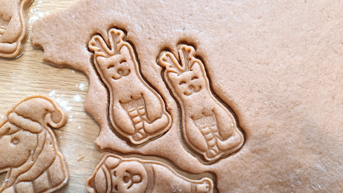 Christmas cat - cookie cutter set