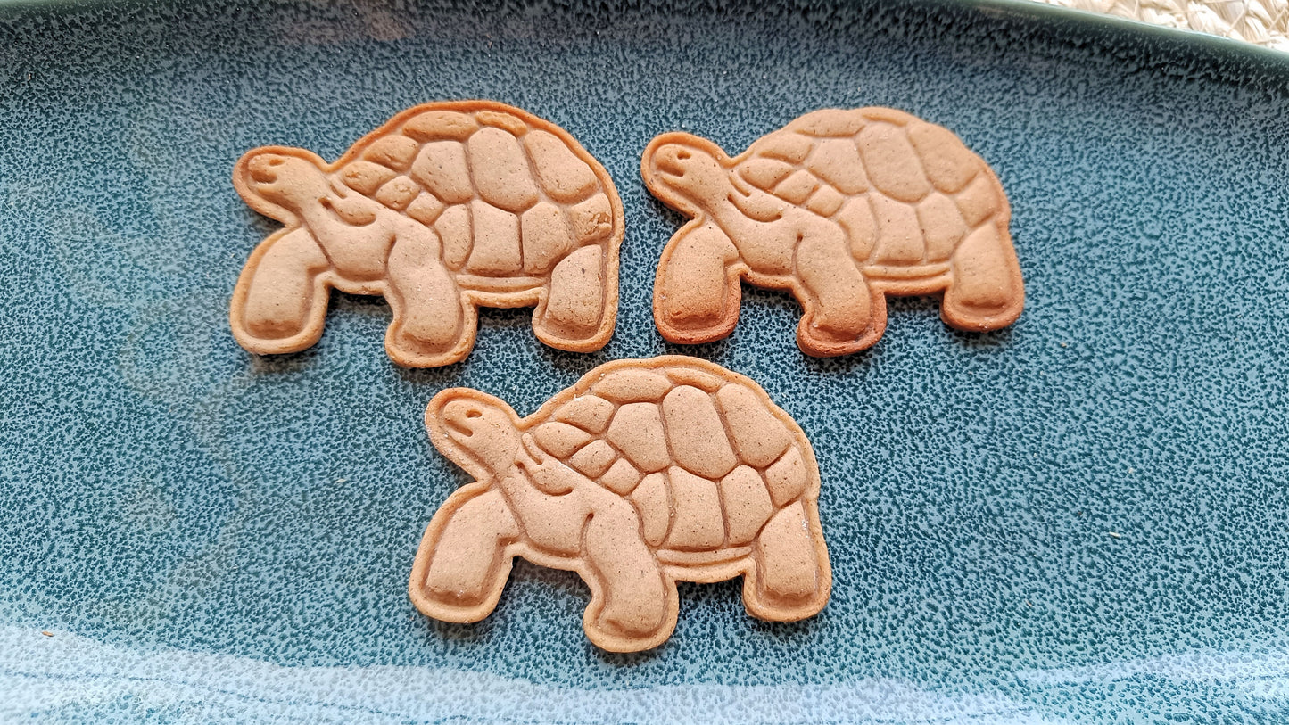 Tortoise - cookie cutter set