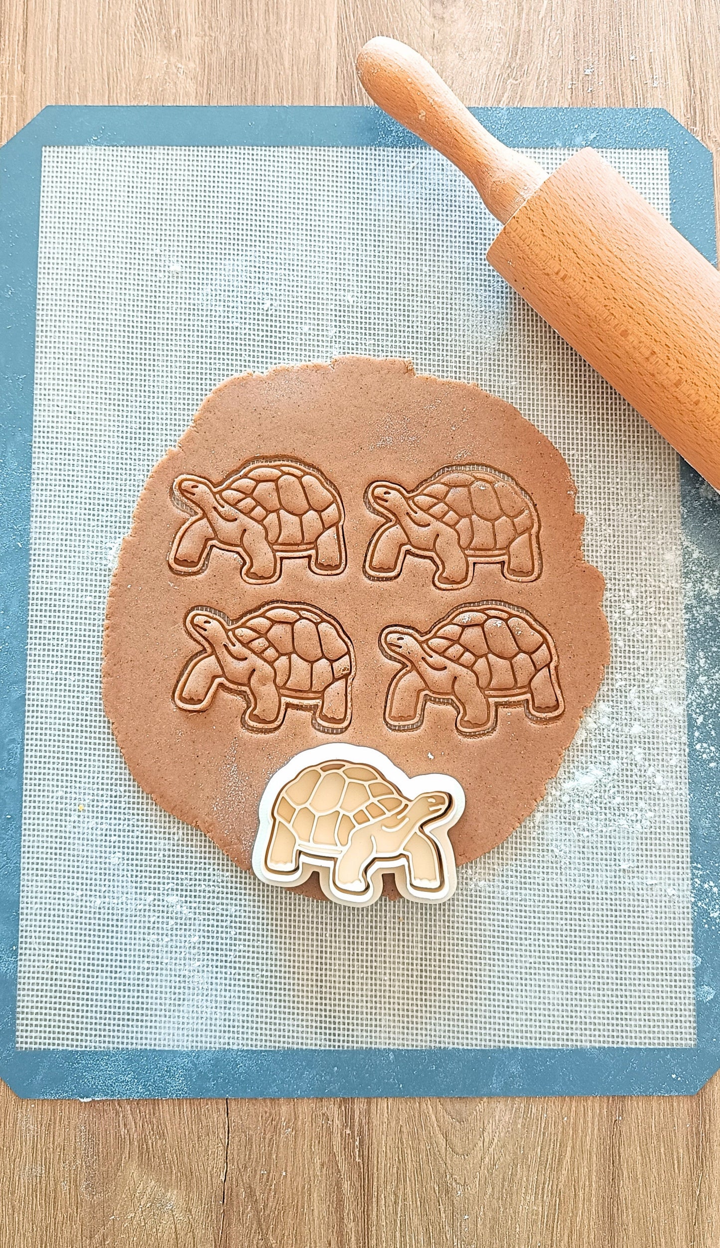 Tortoise - cookie cutter set
