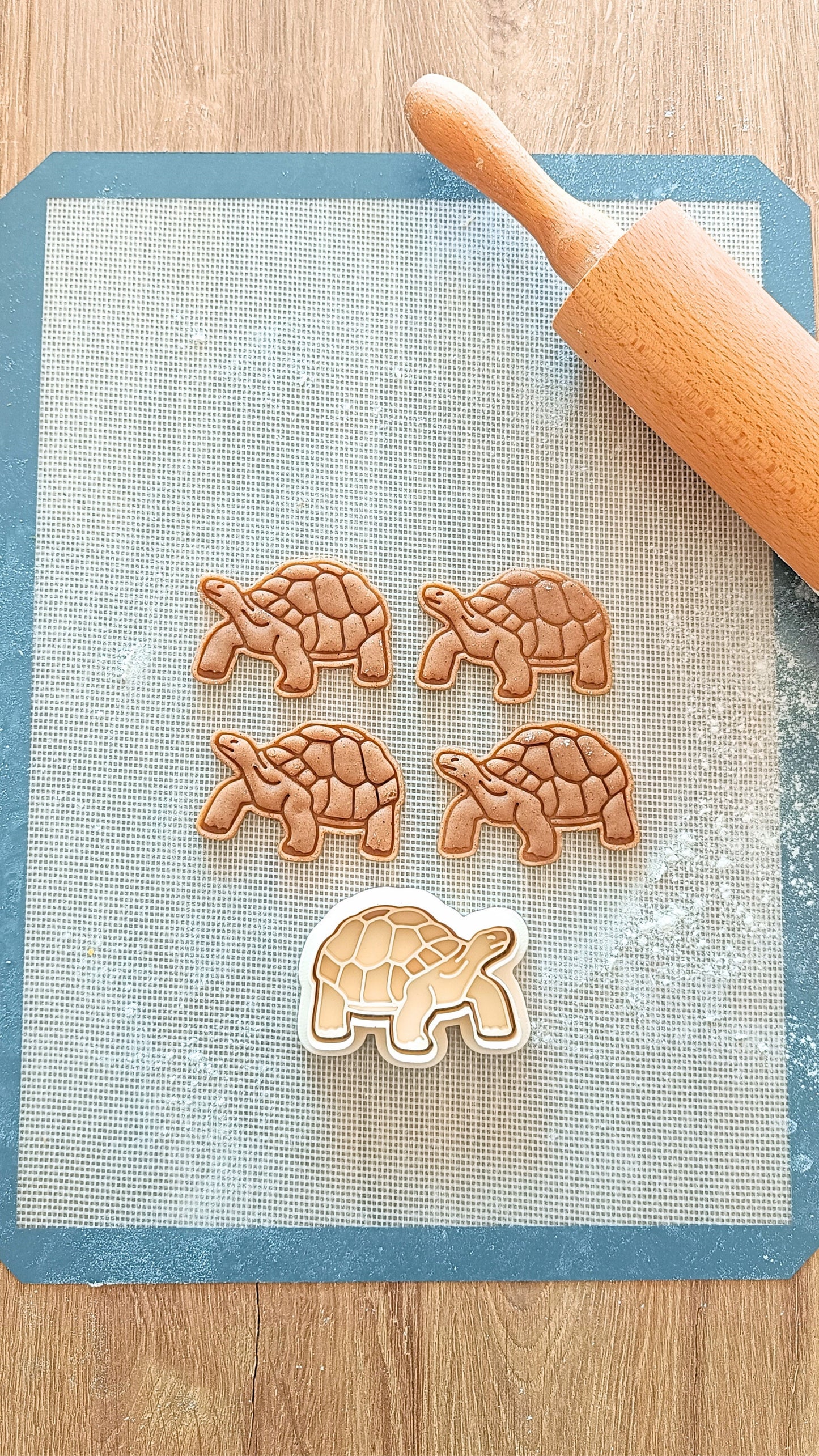 Tortoise - cookie cutter set