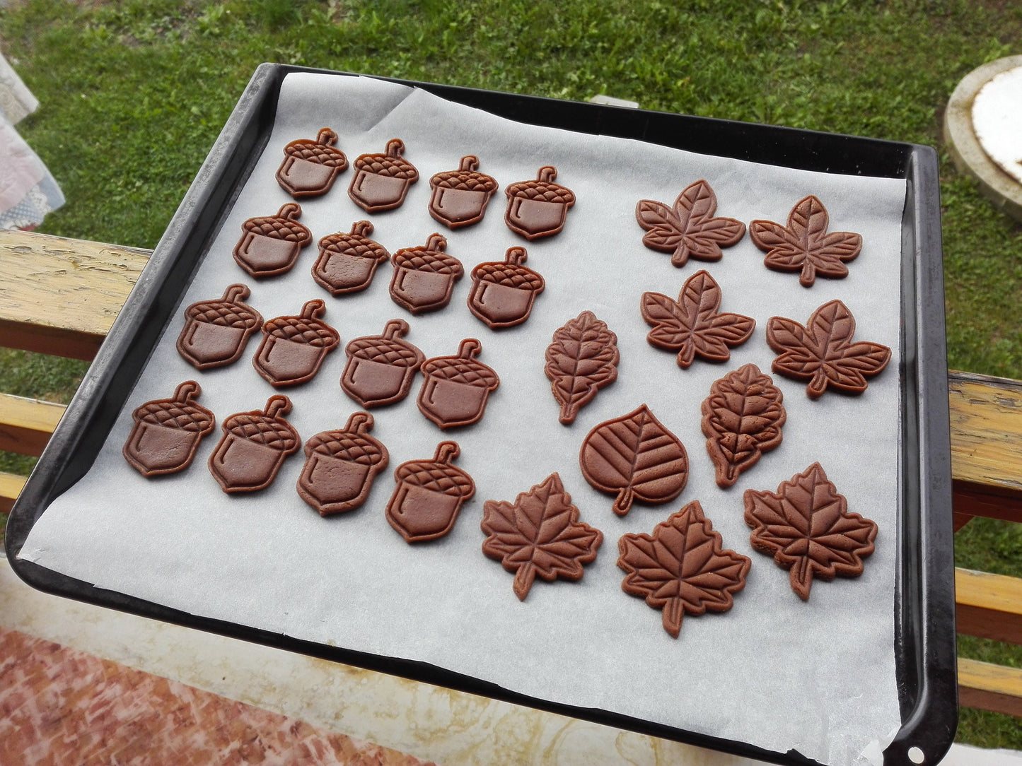 Maple leaf - cookie cutter set