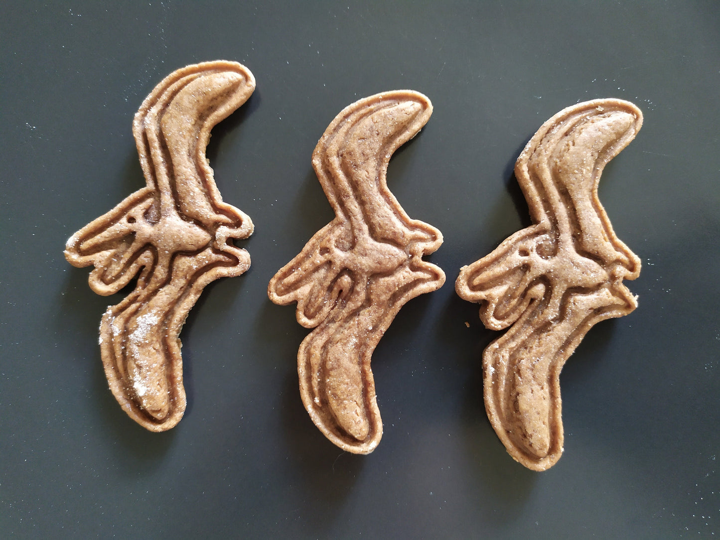 Pteratodon - cookie cutter set